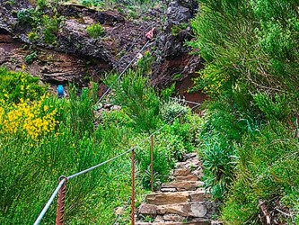 Pico Areeiro to Pico Ruivo Walk, Madeira