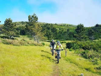 Pico do Areeiro to Funchal Mountain Bike Tour