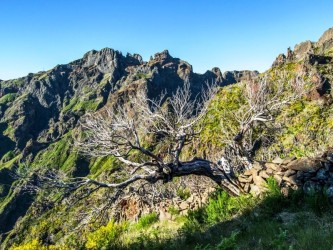 Pico Ruivo trail tour hard in madeira island