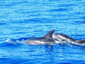 Private Yacht Sunset Boat Trip from Calheta