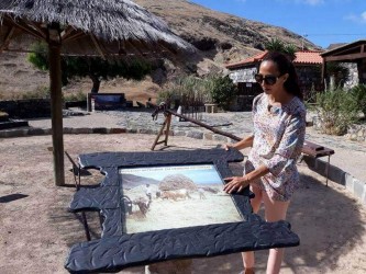 Porto Santo Bus Tour