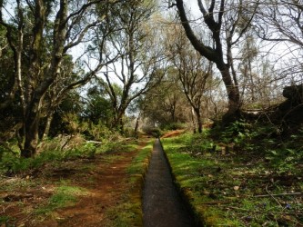 PR7 Moinho Levada Walk in Madeira Island