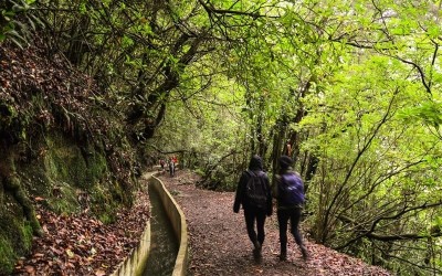 PR10 Furado Levada Walk in Madeira Island