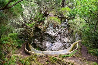 PR10 Furado Levada Walk in Madeira Island