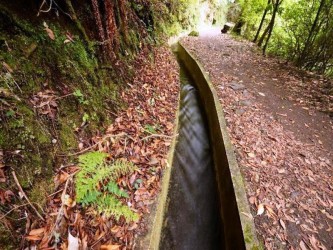 PR10 Furado Levada Walk in Madeira Island