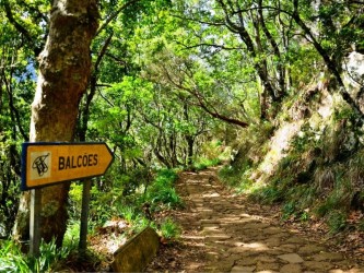 PR11 Vereda dos Balcoes Walk in Madeira Island