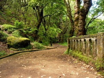 PR11 Vereda dos Balcoes Walk in Madeira Island