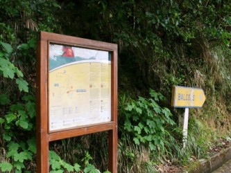 PR11 Vereda dos Balcoes Walk in Madeira Island