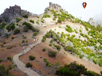 PR1.2 Vereda do Pico Ruivo Hiking Trail in Madeira