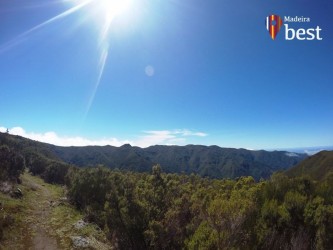 PR13 Vereda do Fanal Hiking Trail in Madeira Island