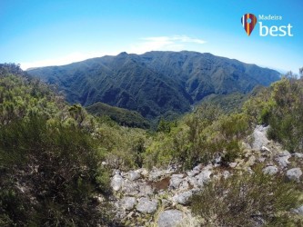 PR13 Vereda do Fanal Hiking Trail in Madeira Island