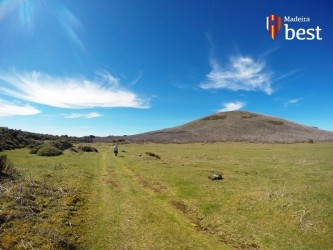 PR13 Vereda do Fanal Hiking Trail in Madeira Island