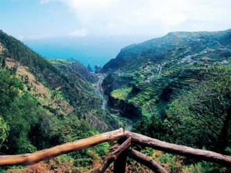 PR15 Vereda da Ribeira da Janela Hiking Trail in Madeira