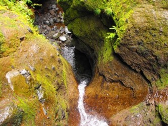PR16 Faja do Rodrigues Levada Walk in Madeira Island