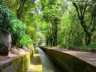 PR17 Caminho do Pinaculo e Folhadal Hiking Trail in Madeira