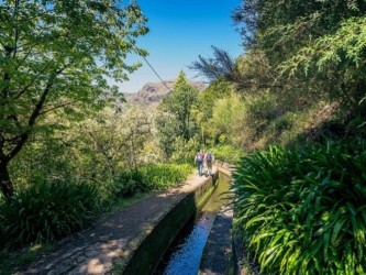 PR17 Caminho do Pinaculo e Folhadal Hiking Trail in Madeira