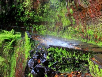 PR18 Rei Levada Walk in Madeira Island