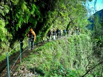 PR18 Rei Levada Walk in Madeira Island