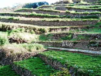 PR5 Vereda das Fonduras Hiking Trail in Madeira