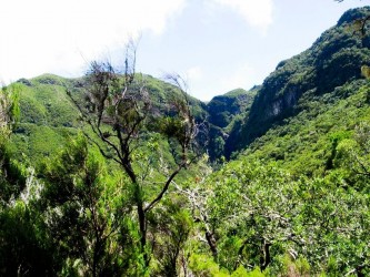 PR6 25 Fountains Risco Levada Walk in Madeira Island