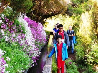 PR6 25 Fountains Risco Levada Walk in Madeira Island