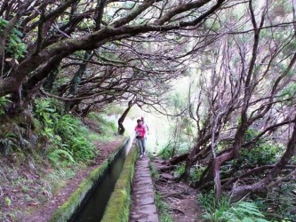 PR6 25 Fountains Risco Levada Walk in Madeira Island