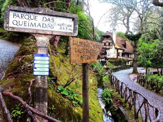 PR9 Caldeirão Verde Levada Walk in Madeira Island