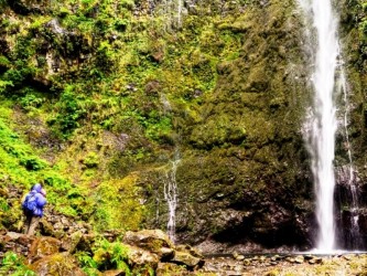 PR9 Caldeirão Verde Levada Walk in Madeira Island