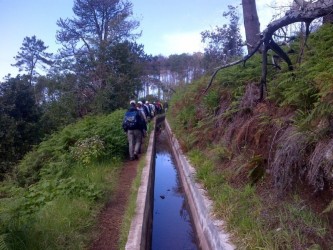 Prazeres to Ponta do Pargo Levada Walk in Calheta, Madeira