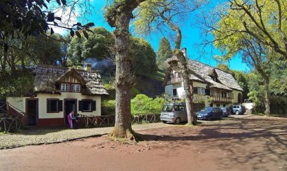 Private Half Day North East Tour Excursion on a MiniBus in Madeira