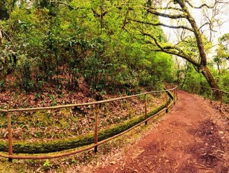 Queimadas – A way for all hiking trail in Santana, Madeira