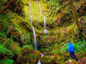 Queimadas to Caldeirao Verde Levada Walk