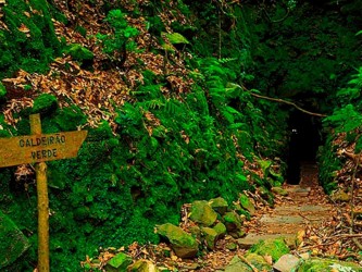 Queimadas to Caldeirao Verde Levada Walk