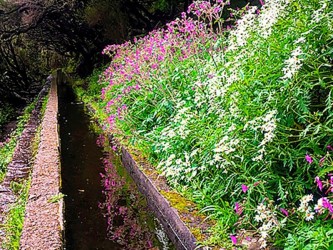 Rabaçal 25 Fontes Levada Walk