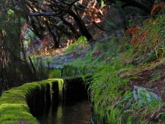 Rabaçal 25 Fountains Levada Walk in Madeira