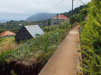 Referta to Castelejo Levada Walk Madeira