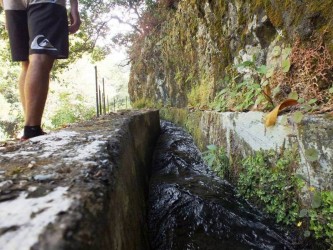 Referta to Castelejo Levada Walk Madeira