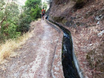 Referta to Castelejo Levada Walk Madeira