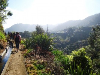 Referta to Castelejo Levada Walk Madeira