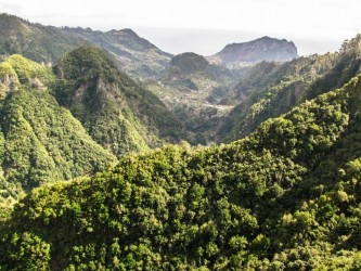 Ribeiro Frio Easy Trail Tour in Madeira Island