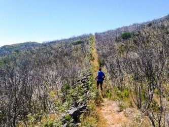 Ribeiro Frio 2 Medium Trail tour in madeira island