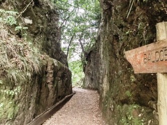 Ribeiro Frio 2 Medium Trail tour in madeira island