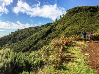 Santo da Serra Medium Trail Tour  in Madeira Island