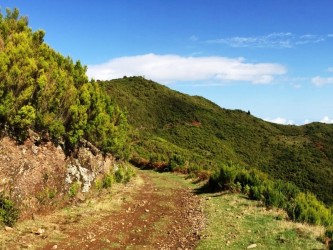 Santo da Serra Medium Trail Tour  in Madeira Island