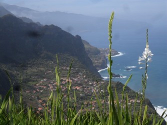 Private Half Day North East Tour Excursion on a MiniBus in Madeira