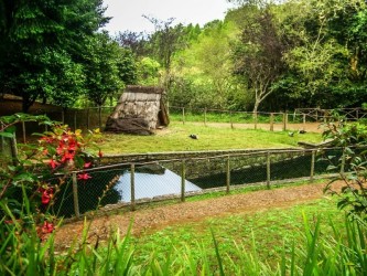 Sao Jorge (hard) Madeira Trail Tour