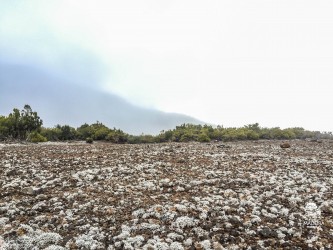 Sao Jorge Hard Trail Tour in Madeira Island