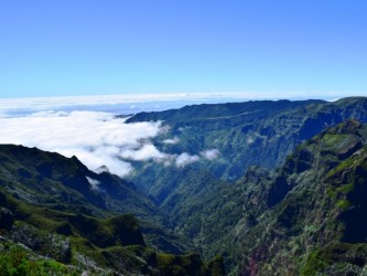 Sky to Sea Walk Combo Forest Mountain and Coast