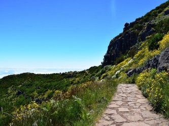 Sky to Sea Walk Combo Forest Mountain and Coast