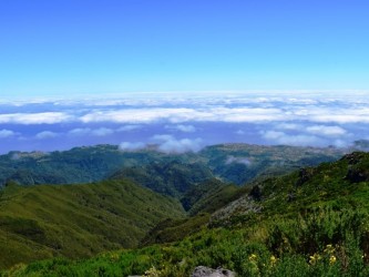 Sky to Sea Walk Combo Forest Mountain and Coast